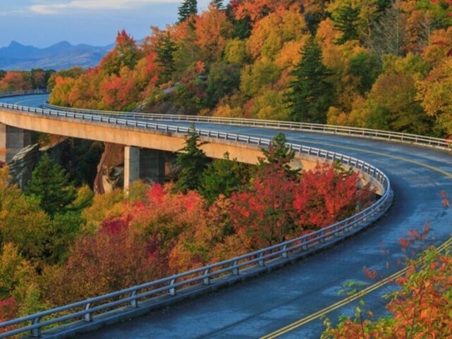 Lyn_Cove_Viaduct